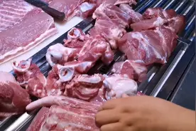 三亚新鸿港市场猪肉和海鲜贵吗？快来看看吧！#带着西瓜去自驾#视频封面