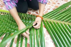 泰国大姐是如何编织椰子叶的，网友：看完终于明白了！