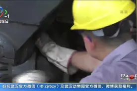走近酷暑下的铁路修轮工视频封面