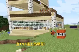 我的世界植物魔法21：TNT爆炸破坏力强？它的克星一朵花完美减伤
