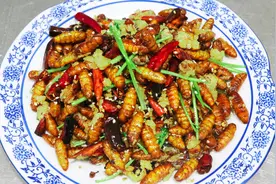 这种高蛋白的菜你敢吃吗？教你做干煸蚕蛹，香辣酥脆，吃着真过瘾