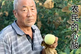 这么好的苹果，因为宣传力度不够，只能出售给收购商，任人宰割视频封面