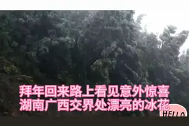 农村亲戚家拜年回来的路上，雾蒙蒙山顶看见意外惊喜，看看是什么视频封面