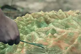 食人花生长在亚马逊流域，吸血虫在蒙古戈壁，怎么都在这里出现了