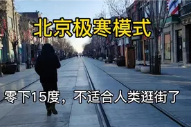 极寒天气下的北京商业街，路上几乎没几个人逛街，零下15度是真冷视频封面