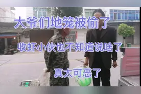 大爷们地笼被偷了，小伙今天却翻倍收货，看赚了多少视频封面