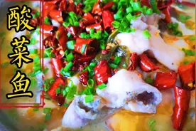 从业十几年的厨师为大家分享酸菜鱼的经典做法，解说详细毫无保留