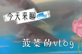 今天来聊聊鱼吧，还有你不知道的上菜规矩，长沙饭店的不成文规定