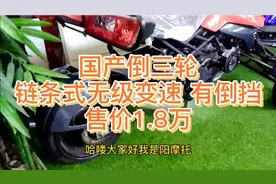 吉利吉铭弗莱尔倒三轮摩托，链条式无级变速还有倒挡，售价1.8万视频封面