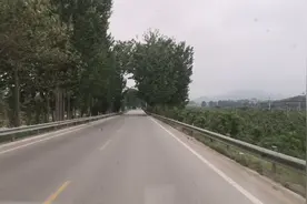 231省道蒙阴野店回平邑视频封面