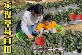实现草莓自由，大口大口吃草莓，好嗨哟！