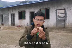 如何看鸡蛋是否受精，老百姓都是用这一招