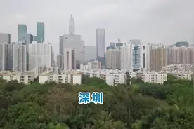 东莞在广东省排名前四，而车牌号为什么是粤S？