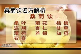 辛凉解表药方剂之辛凉轻剂～桑菊饮视频封面
