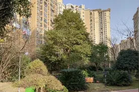 岳阳十五中旁已建成十余年的花园社区，今天我们去滨水新境界看看视频封面