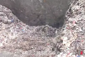 密集恐惧症慎点！记者探秘垃圾回收站，N多蟑螂正在吃垃圾！视频封面