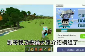 我的世界：模组介绍，这模组挺好玩的，可以抱起所有动物