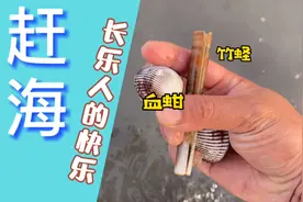文武砂镇十七孔成福州春节打卡热点，随手就能在浪花中捡到海货