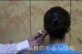 脊柱正骨技术大揭秘【颈椎篇】之寰枕关节错位分析