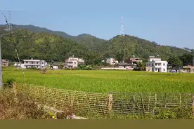 河源紫金县的一个小山村，走在田间小路上，清新空气让人心旷神怡视频封面