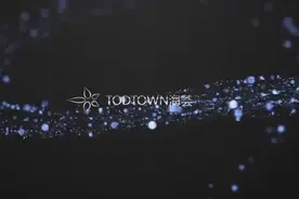 金山TOD TOWN
上海金海湾
国际滨海旅游度假区视频封面