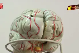 小头儿子时常尖叫，竟是得了罕见病！视频封面