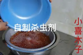 分享自制杀虫剂配方简单，无农药、无毒放心使用，大家关注收藏了视频封面