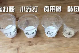 发面到底该用泡打粉，还是酵母？区别和用途全总结视频封面