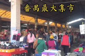 番禺区，最大集市，清河市场，每天热闹非凡，视频封面