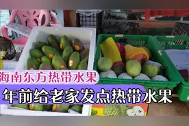 海南东方邮寄热带水果回山东，一箱大概多少钱，邮费多少钱？贵吗视频封面