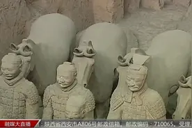 秦皇陵兵马俑彩绘为何脱落？专家解答：漆衣彩陶的胶料不单一