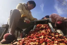 你们吃的山楂片就是这么加工出来的，纯天然，无污染！