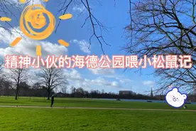 徒手味松鼠，你被咬过嘛？精神小伙带你海德公园喂小松鼠！