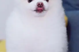 你收到的，印象最深刻的礼物是什么？视频封面