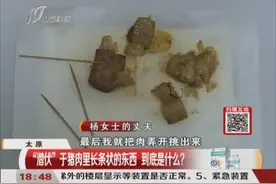煮熟猪肉现寄生虫？白膘内出现黑色长条，专家鉴定让人恍然大悟视频封面