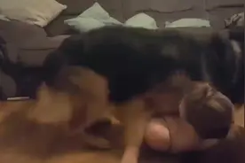 女主人减肥时，德牧一直捣蛋，趴到女主人身上撒娇，还搞恶作剧！视频封面