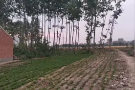 同学和朋友的好处，你知道是什么吗，不如来听听我的意见。