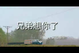 《兄弟想你了》歌词感人肺腑，越听越爱，越听越思念兄弟。