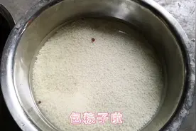 姑娘自己包粽子，煮了一大锅，软糯香甜特好吃，小伙尝了一口说好视频封面