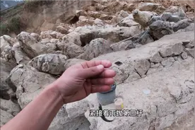 用路亚竿挂七星钩钓蓝刀，鱼口好到爆炸