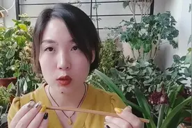 九成以上的花是浇水浇死的，小姐姐教你一个筷子浇水法！视频封面
