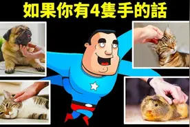 假如我們能夠有四隻手臂的話人生會是怎麼樣?视频封面