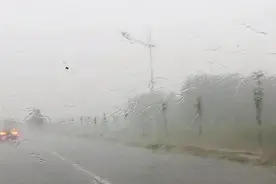 河南周口项城市，2020年目前最大的一场雨，看有多大？视频封面