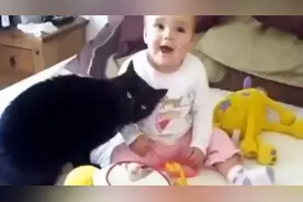 猫第一次见到婴儿是什么反应？