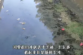广东信宜已经三个多月没下雨，清澈的绿丫河变成臭水涌，不忍直视