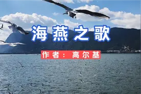 北国风光朗诵高尔基的散文诗《海燕》视频封面