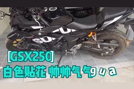 gsx250r贴花 感觉黑车还是配白字好看