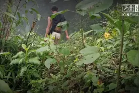 野外男人
佤族野男人