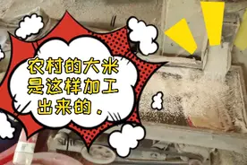 农村的大米是这样加工出来的，你们见过吗？看到场景我尴尬了。视频封面