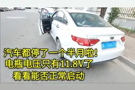 国产汽车长时间停放，电瓶电压只有11.8伏了，看打工小伙能否启动